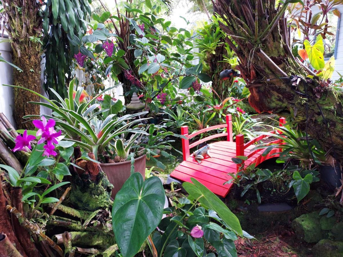 Paradise Cottage At Anthurium Hale Hilo Extérieur photo
